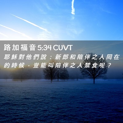 Picture 02 - 路 加 福 音 5:34 CUVT - 耶 穌 對 他 們 說 ： 新 郎 和 陪 伴 - Bible Verse Picture