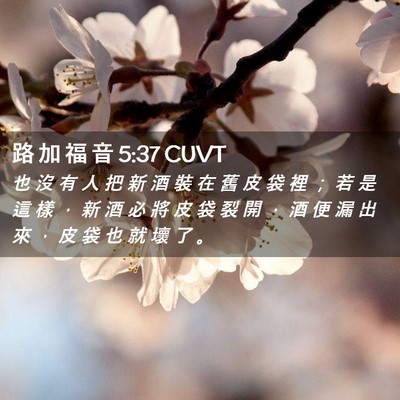 Picture 02 - 路 加 福 音 5:37 CUVT - 也 沒 有 人 把 新 酒 裝 在 舊 皮 袋 - Bible Verse Picture
