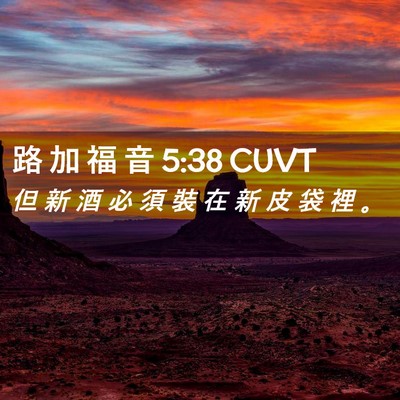 Picture 02 - 路 加 福 音 5:38 CUVT - 但 新 酒 必 須 裝 在 新 皮 袋 裡 - Bible Verse Picture