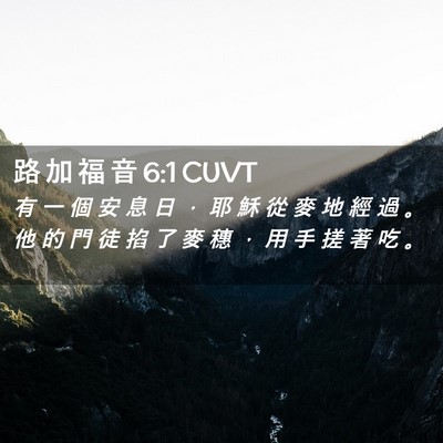 Picture 02 - 路 加 福 音 6:1 CUVT - 有 一 個 安 息 日 ， 耶 穌 從 麥 地 - Bible Verse Picture