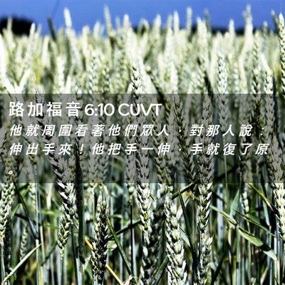 Picture 02 - 路 加 福 音 6:10 CUVT - 他 就 周 圍 看 著 他 們 眾 人 ， 對 - Bible Verse Picture