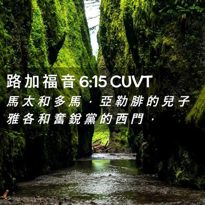 Picture 02 - 路 加 福 音 6:15 CUVT - 馬 太 和 多 馬 ， 亞 勒 腓 的 兒 子 - Bible Verse Picture