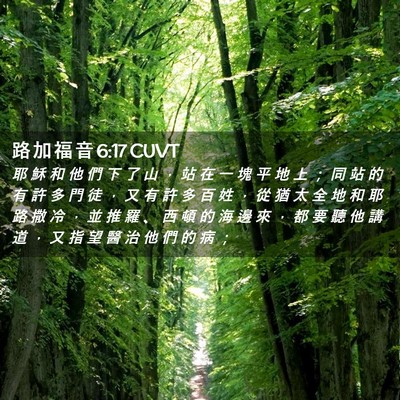 Picture 02 - 路 加 福 音 6:17 CUVT - 耶 穌 和 他 們 下 了 山 ， 站 在 一 - Bible Verse Picture