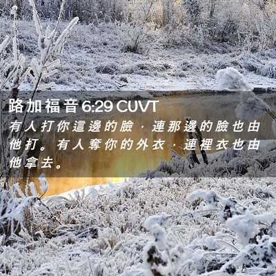 Picture 02 - 路 加 福 音 6:29 CUVT - 有 人 打 你 這 邊 的 臉 ， 連 那 邊 - Bible Verse Picture