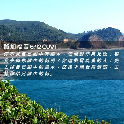 Picture 02 - 路 加 福 音 6:42 CUVT - 你 不 見 自 己 眼 中 有 梁 木 ， 怎 - Bible Verse Picture