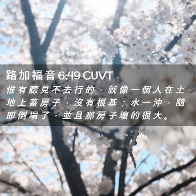 Picture 02 - 路 加 福 音 6:49 CUVT - 惟 有 聽 見 不 去 行 的 ， 就 像 一 - Bible Verse Picture