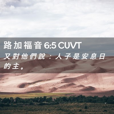 Picture 02 - 路 加 福 音 6:5 CUVT - 又 對 他 們 說 ： 人 子 是 安 息 日 - Bible Verse Picture