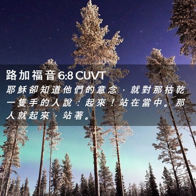 Picture 02 - 路 加 福 音 6:8 CUVT - 耶 穌 卻 知 道 他 們 的 意 念 ， 就 - Bible Verse Picture