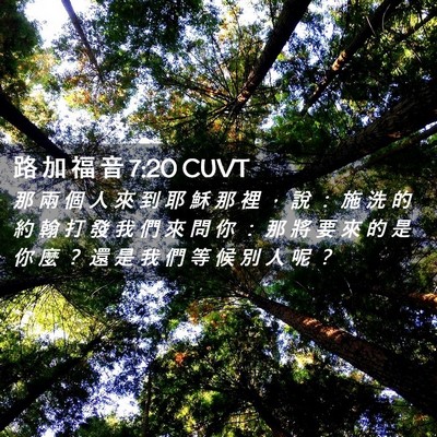 Picture 02 - 路 加 福 音 7:20 CUVT - 那 兩 個 人 來 到 耶 穌 那 裡 ， 說 - Bible Verse Picture