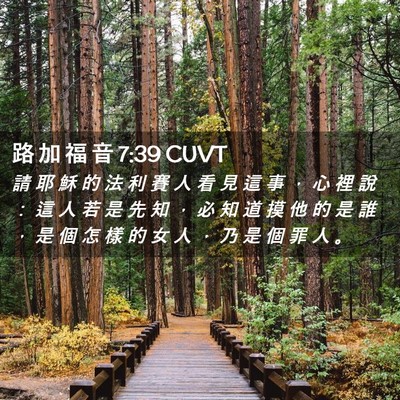 Picture 02 - 路 加 福 音 7:39 CUVT - 請 耶 穌 的 法 利 賽 人 看 見 這 事 - Bible Verse Picture