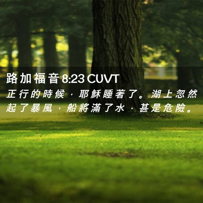 Picture 02 - 路 加 福 音 8:23 CUVT - 正 行 的 時 候 ， 耶 穌 睡 著 了 。 - Bible Verse Picture
