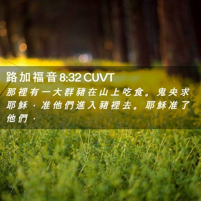 Picture 02 - 路 加 福 音 8:32 CUVT - 那 裡 有 一 大 群 豬 在 山 上 吃 食 - Bible Verse Picture