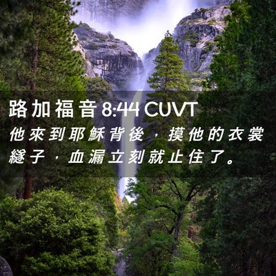 Picture 02 - 路 加 福 音 8:44 CUVT - 他 來 到 耶 穌 背 後 ， 摸 他 的 衣 - Bible Verse Picture