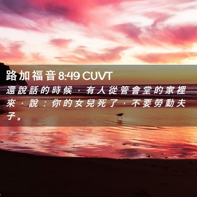 Picture 02 - 路 加 福 音 8:49 CUVT - 還 說 話 的 時 候 ， 有 人 從 管 會 - Bible Verse Picture