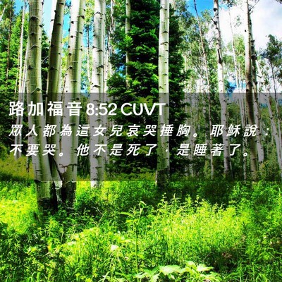 Picture 02 - 路 加 福 音 8:52 CUVT - 眾 人 都 為 這 女 兒 哀 哭 捶 胸 。 - Bible Verse Picture
