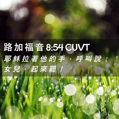 Picture 02 - 路 加 福 音 8:54 CUVT - 耶 穌 拉 著 他 的 手 ， 呼 叫 說 ： - Bible Verse Picture