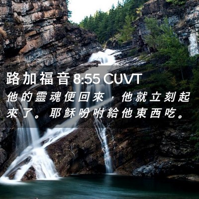 Picture 02 - 路 加 福 音 8:55 CUVT - 他 的 靈 魂 便 回 來 ， 他 就 立 刻 - Bible Verse Picture