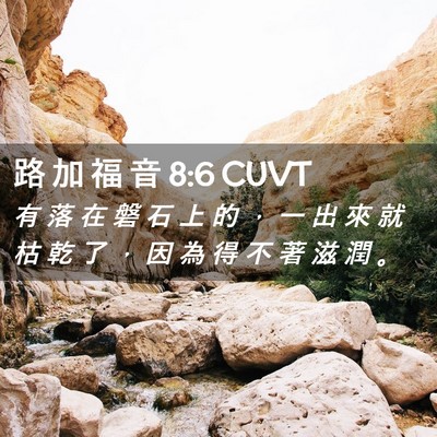 Picture 02 - 路 加 福 音 8:6 CUVT - 有 落 在 磐 石 上 的 ， 一 出 來 就 - Bible Verse Picture