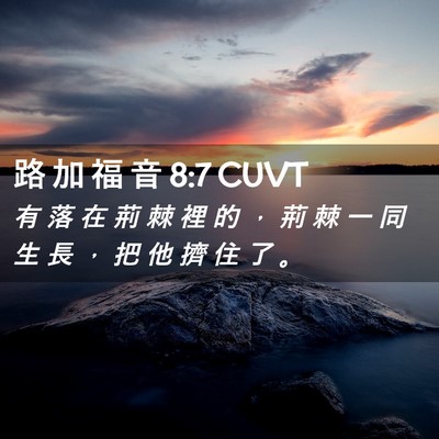 Picture 02 - 路 加 福 音 8:7 CUVT - 有 落 在 荊 棘 裡 的 ， 荊 棘 一 同 - Bible Verse Picture