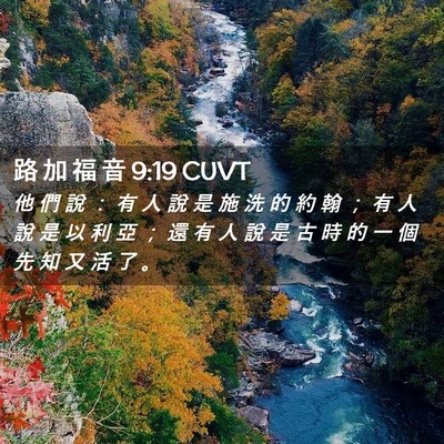 Picture 02 - 路 加 福 音 9:19 CUVT - 他 們 說 ： 有 人 說 是 施 洗 的 約 - Bible Verse Picture
