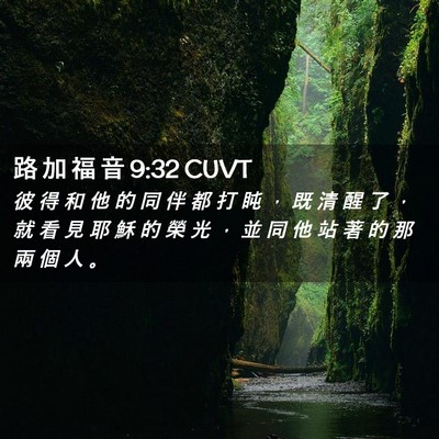 Picture 02 - 路 加 福 音 9:32 CUVT - 彼 得 和 他 的 同 伴 都 打 盹 ， 既 - Bible Verse Picture