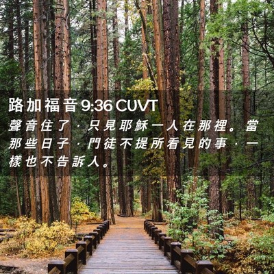 Picture 02 - 路 加 福 音 9:36 CUVT - 聲 音 住 了 ， 只 見 耶 穌 一 人 在 - Bible Verse Picture