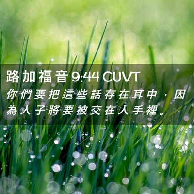 Picture 02 - 路 加 福 音 9:44 CUVT - 你 們 要 把 這 些 話 存 在 耳 中 ， - Bible Verse Picture