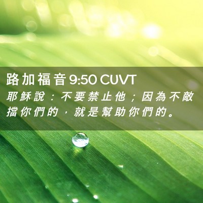 Picture 02 - 路 加 福 音 9:50 CUVT - 耶 穌 說 ： 不 要 禁 止 他 ； 因 為 - Bible Verse Picture