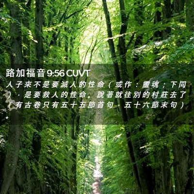 Picture 02 - 路 加 福 音 9:56 CUVT - 人 子 來 不 是 要 滅 人 的 性 命 （ - Bible Verse Picture