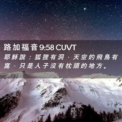 Picture 02 - 路 加 福 音 9:58 CUVT - 耶 穌 說 ： 狐 狸 有 洞 ， 天 空 的 - Bible Verse Picture