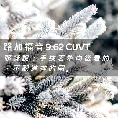 Picture 02 - 路 加 福 音 9:62 CUVT - 耶 穌 說 ： 手 扶 著 犁 向 後 看 的 - Bible Verse Picture