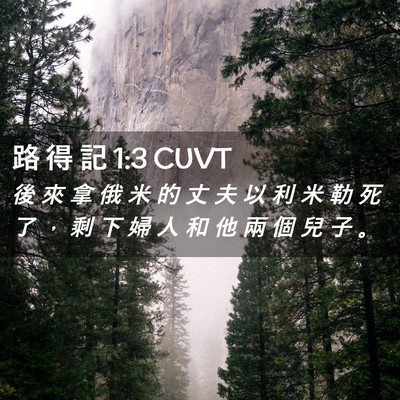 Picture 02 - 路 得 記 1:3 CUVT - 後 來 拿 俄 米 的 丈 夫 以 利 米 勒 - Bible Verse Picture