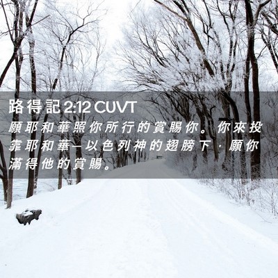 Picture 02 - 路 得 記 2:12 CUVT - 願 耶 和 華 照 你 所 行 的 賞 賜 你 - Bible Verse Picture