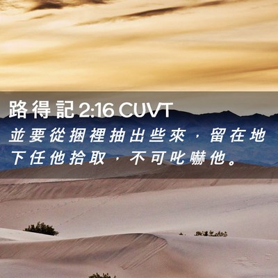 Picture 02 - 路 得 記 2:16 CUVT - 並 要 從 捆 裡 抽 出 些 來 ， 留 在 - Bible Verse Picture