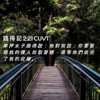 Picture 02 - 路 得 記 2:21 CUVT - 摩 押 女 子 路 得 說 ： 他 對 我 說 - Bible Verse Picture