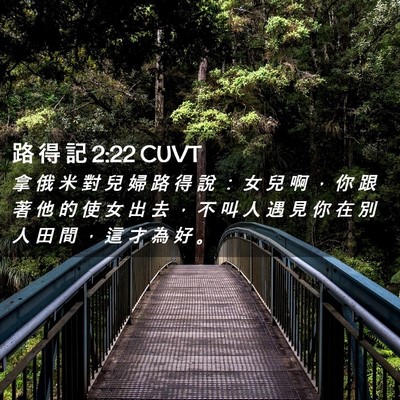 Picture 02 - 路 得 記 2:22 CUVT - 拿 俄 米 對 兒 婦 路 得 說 ： 女 兒 - Bible Verse Picture