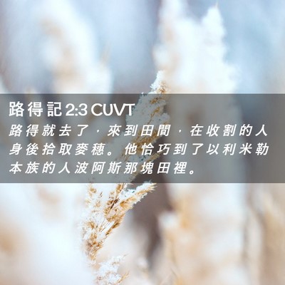 Picture 02 - 路 得 記 2:3 CUVT - 路 得 就 去 了 ， 來 到 田 間 ， 在 - Bible Verse Picture