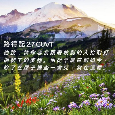 Picture 02 - 路 得 記 2:7 CUVT - 他 說 ： 請 你 容 我 跟 著 收 割 的 - Bible Verse Picture