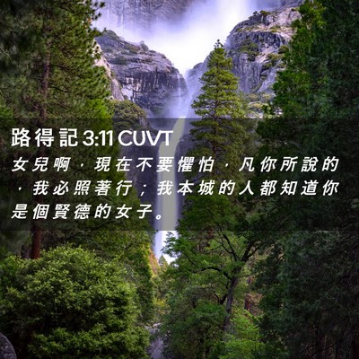 Picture 02 - 路 得 記 3:11 CUVT - 女 兒 啊 ， 現 在 不 要 懼 怕 ， 凡 - Bible Verse Picture