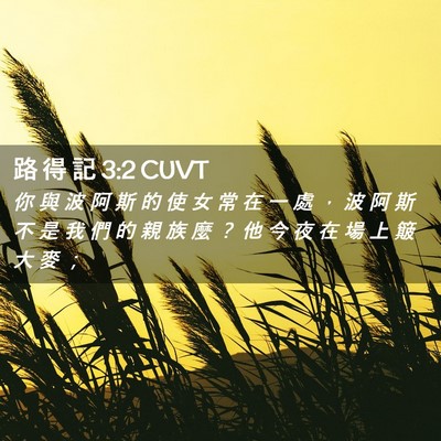 Picture 02 - 路 得 記 3:2 CUVT - 你 與 波 阿 斯 的 使 女 常 在 一 處 - Bible Verse Picture