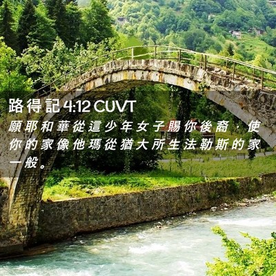 Picture 02 - 路 得 記 4:12 CUVT - 願 耶 和 華 從 這 少 年 女 子 賜 你 - Bible Verse Picture