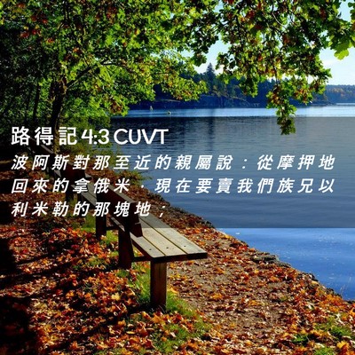 Picture 02 - 路 得 記 4:3 CUVT - 波 阿 斯 對 那 至 近 的 親 屬 說 ： - Bible Verse Picture
