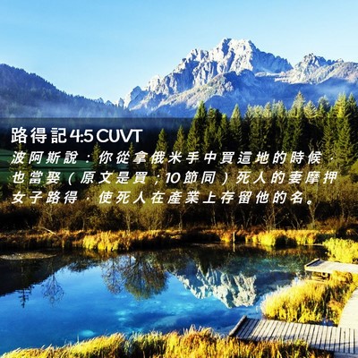 Picture 02 - 路 得 記 4:5 CUVT - 波 阿 斯 說 ： 你 從 拿 俄 米 手 中 - Bible Verse Picture