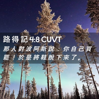 Picture 02 - 路 得 記 4:8 CUVT - 那 人 對 波 阿 斯 說 ： 你 自 己 買 - Bible Verse Picture