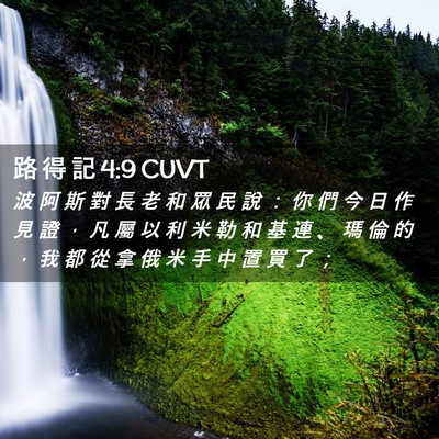 Picture 02 - 路 得 記 4:9 CUVT - 波 阿 斯 對 長 老 和 眾 民 說 ： 你 - Bible Verse Picture