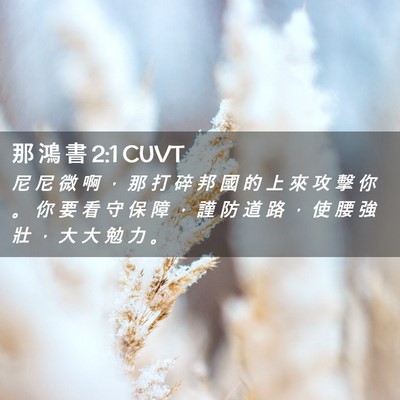 Picture 02 - 那 鴻 書 2:1 CUVT - 尼 尼 微 啊 ， 那 打 碎 邦 國 的 上 - Bible Verse Picture