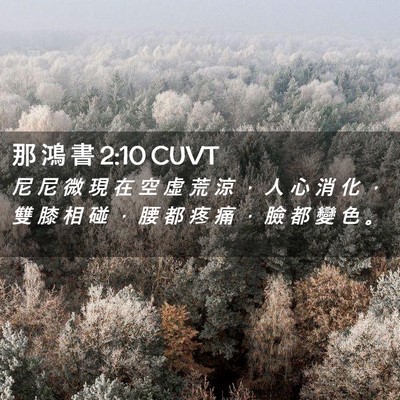 Picture 02 - 那 鴻 書 2:10 CUVT - 尼 尼 微 現 在 空 虛 荒 涼 ， 人 心 - Bible Verse Picture