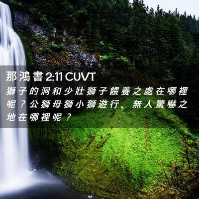 Picture 02 - 那 鴻 書 2:11 CUVT - 獅 子 的 洞 和 少 壯 獅 子 餵 養 之 - Bible Verse Picture