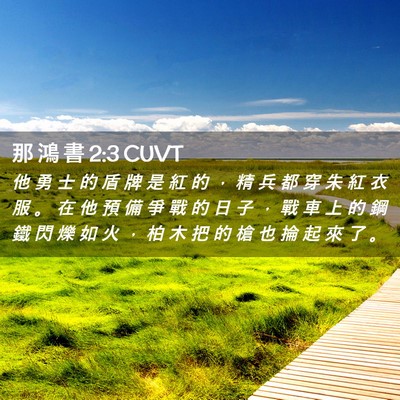 Picture 02 - 那 鴻 書 2:3 CUVT - 他 勇 士 的 盾 牌 是 紅 的 ， 精 兵 - Bible Verse Picture