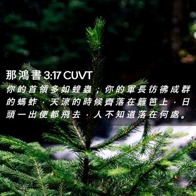 Picture 02 - 那 鴻 書 3:17 CUVT - 你 的 首 領 多 如 蝗 蟲 ； 你 的 軍 - Bible Verse Picture